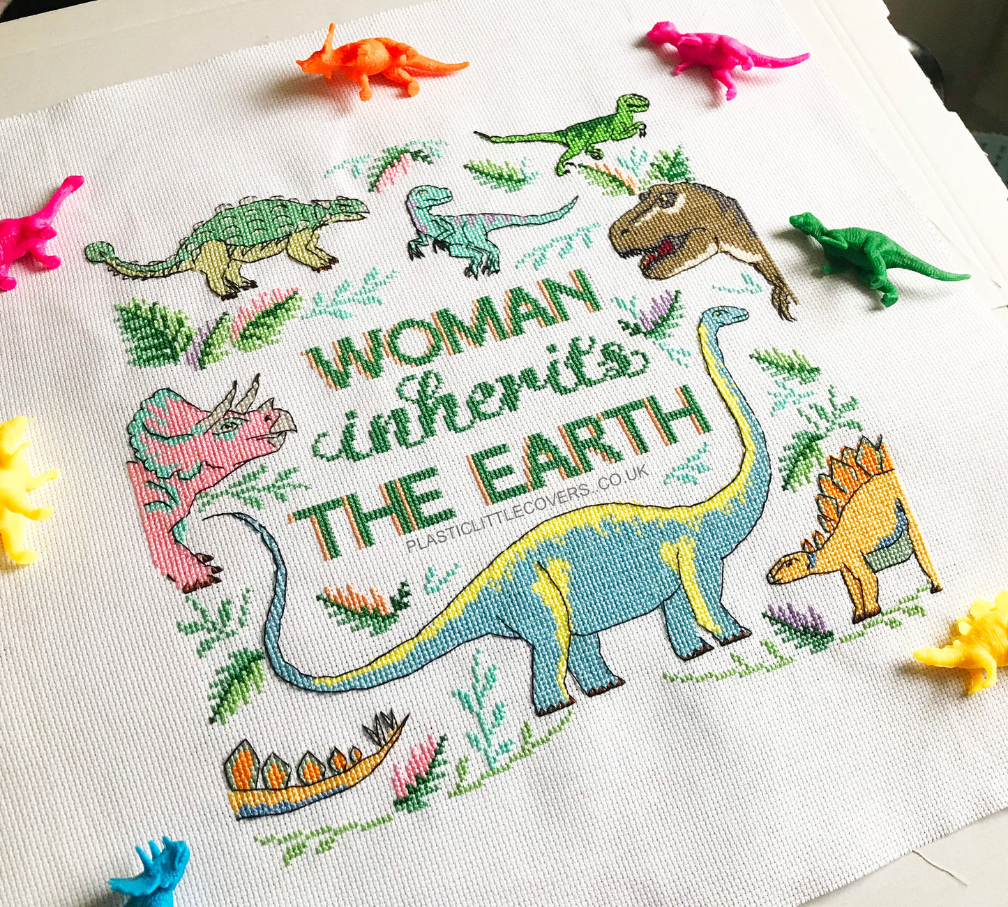 SECONDS SALE Cross Stitch Kit - Woman Inherits the Earth
