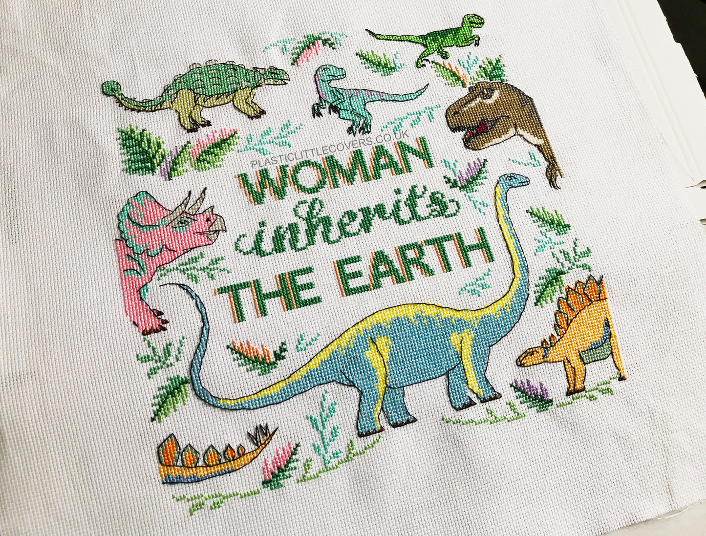 Cross Stitch Kit - Woman Inherits the Earth