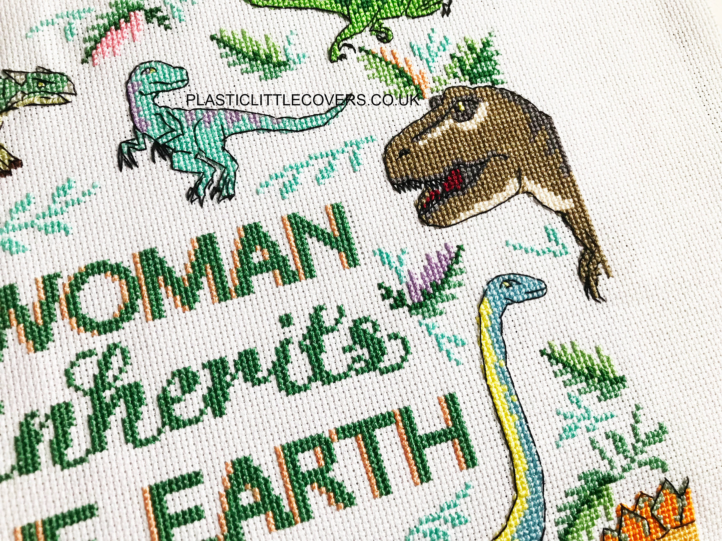 Cross Stitch Kit - Woman Inherits the Earth