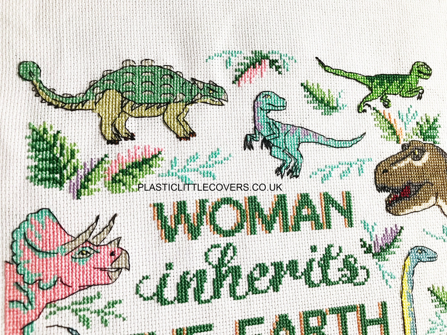 SECONDS SALE Cross Stitch Kit - Woman Inherits the Earth