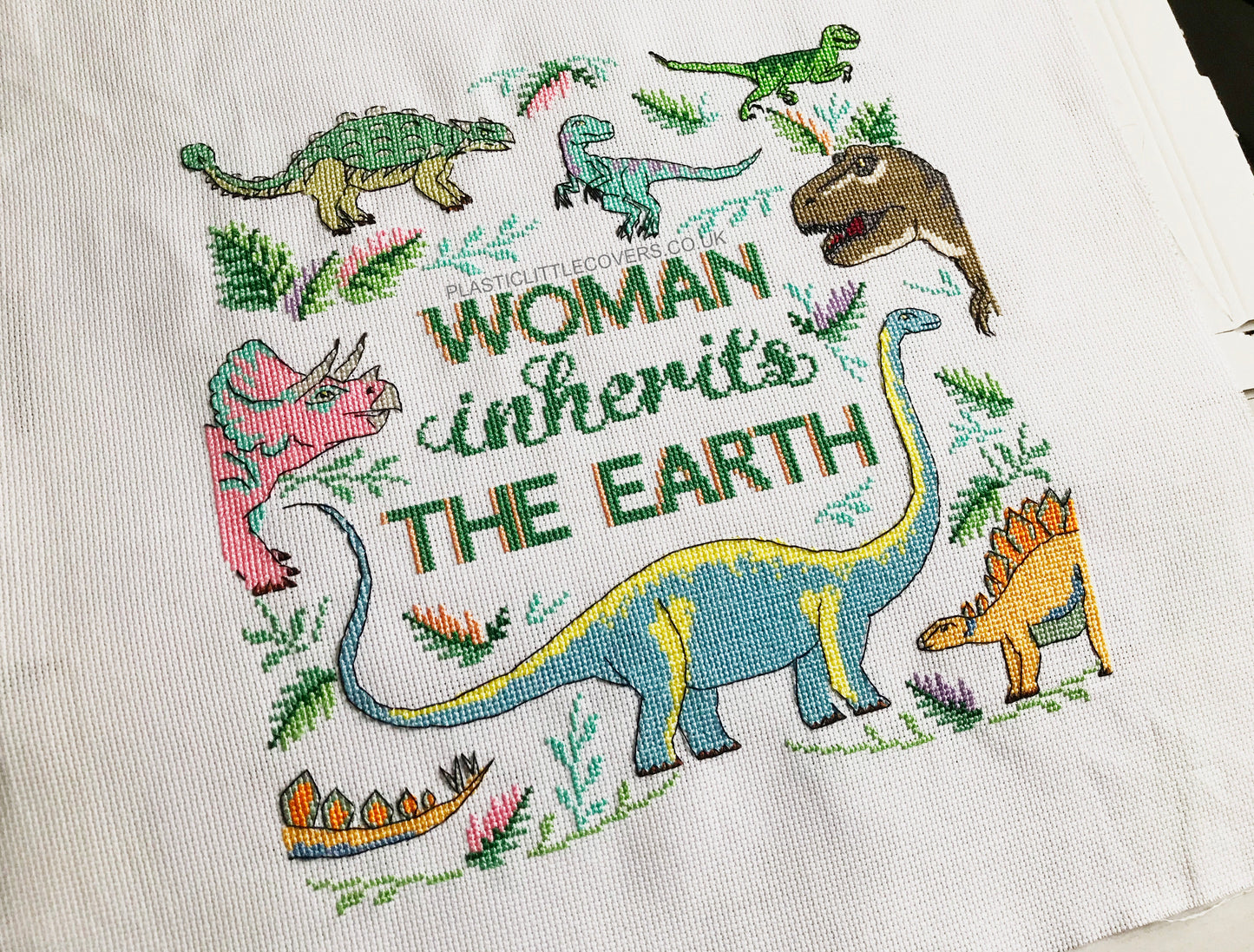 SECONDS SALE Cross Stitch Kit - Woman Inherits the Earth