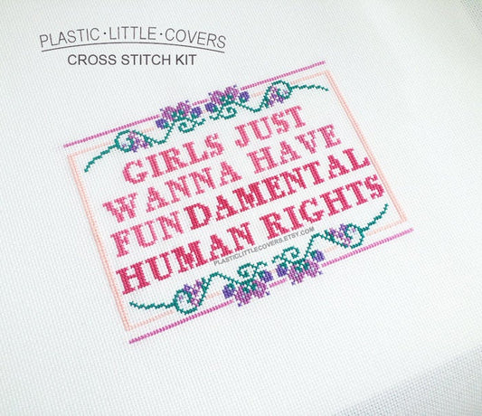 Cross Stitch Kit - Girls Just Wanna Have Fundamental Human Rights.